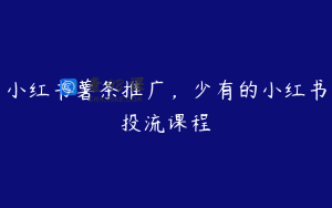 小红书薯条推广，少有的小红书投流课程