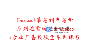 Facebook菜鸟到老鸟全系列运营玩法+Facebook专业广告投放全系列课程