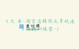 《九栢米-淘宝店群领头羊玩法》陪跑训练营-1