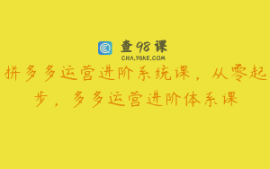 拼多多运营进阶系统课，从零起步，多多运营进阶体系课