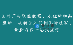 国外广告联盟教程，基础班和高级班，从新手入门到高阶玩家，全套内容一站式搞定
