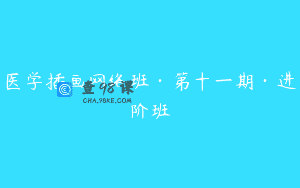 医学插画网络班·第十一期·进阶班