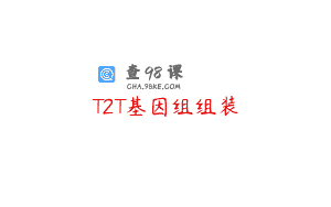 T2T基因组组装
