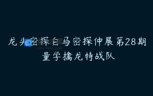 龙头密探白马密探仲展第28期 量学擒龙特战队