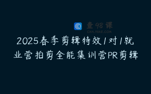 2025春季剪辑特效1对1就业营拍剪全能集训营PR剪辑