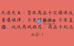 天诺老吴·雪狼商品卡实操课流量爆破课，不发短视频，不发直播，纯玩商城推荐，商品卡起店从0-1