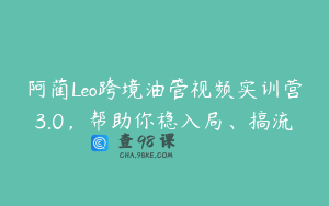 阿蔺Leo跨境油管视频实训营3.0，帮助你稳入局、搞流