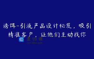 诱饵-引流产品设计秘笈，吸引精准客户，让他们主动找你
