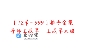 【12节-￥999】推手全集导师王战军_王战军太极