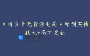 《拼多多无货源电商》原创实操技术+高阶更新