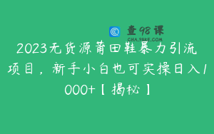 2023无货源莆田鞋暴力引流项目，新手小白也可实操日入1000+【揭秘】