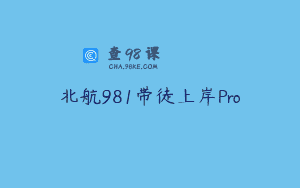 北航981带徒上岸Pro