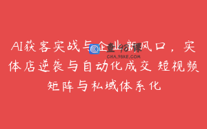 AI获客实战与企业新风口，实体店逆袭与自动化成交 短视频矩阵与私域体系化