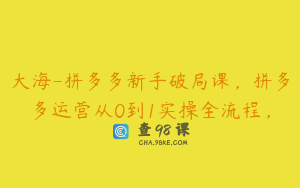 大海-拼多多新手破局课，拼多多运营从0到1实操全流程，