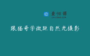 跟猫哥学微距自然光摄影