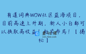 有道词典WOW社区蓝海项目,目前高速上升期,新人小白都可以换取高收益!赶紧布局!【揭秘】