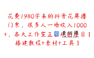花费1980学来的抖音花屏撸门票，很多人一场收入1000+，各大工作室正在玩的项目【搭建教程+素材+工具】