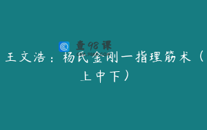王文浩：杨氏金刚一指理筋术（上中下）