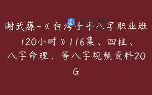 谢武藤-《台湾子平八字职业班120小时》116集、四柱、八字命理、等八字视频资料20G