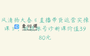 风清扬大春《直播带货运营实操课》，班级账号诊断课价值3980元
