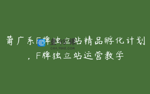 莆广系F牌独立站精品孵化计划,F牌独立站运营教学