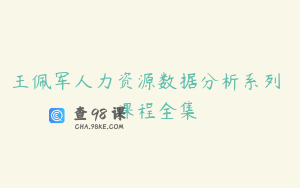 王佩军人力资源数据分析系列 – 课程全集