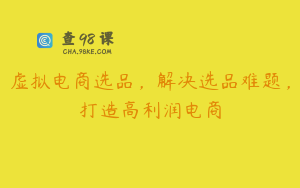 虚拟电商选品，解决选品难题，打造高利润电商