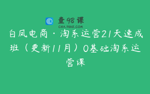 白凤电商·淘系运营21天速成班（更新11月）0基础淘系运营课