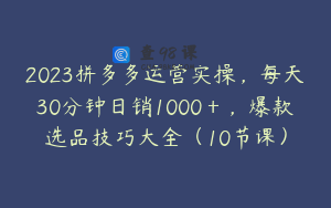 2023拼多多运营实操，每天30分钟日销1000＋，爆款选品技巧大全（10节课）