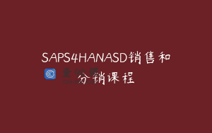 SAPS4HANASD销售和分销课程
