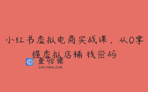 小红书虚拟电商实战课，从0掌握虚拟店铺賺钱密码