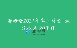 郭海培2021年掌上财金-孤狼战法 20堂课