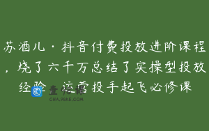 苏酒儿·抖音付费投放进阶课程，烧了六千万总结了实操型投放经验，运营投手起飞必修课