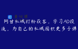 阿甘私域打粉获客，学习AD投流，为自己的私域囤积更多子弹