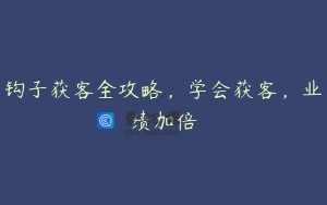 钩子获客全攻略，学会获客，业绩加倍