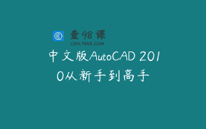 中文版AutoCAD 2010从新手到高手