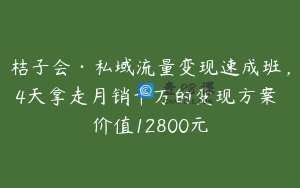 桔子会·私域流量变现速成班，4天拿走月销千万的变现方案 价值12800元
