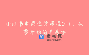 小红书电商运营课程0-1，从零开始简单易学