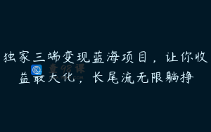 独家三端变现蓝海项目，让你收益最大化，长尾流无限躺挣
