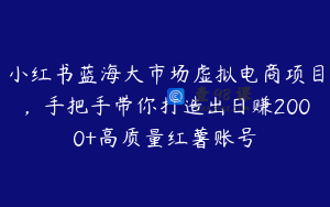 小红书蓝海大市场虚拟电商项目,手把手带你打造出日赚2000+高质量红薯账号