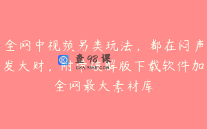 全网中视频另类玩法,都在闷声发大财,附带破解版下载软件加全网最大素材库