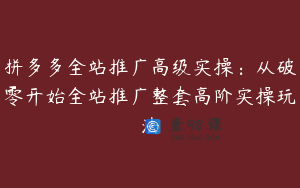 拼多多全站推广高级实操：从破零开始全站推广整套高阶实操玩法