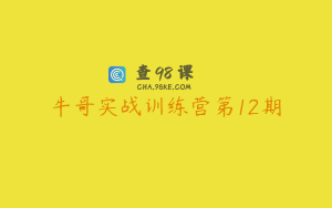牛哥实战训练营第12期