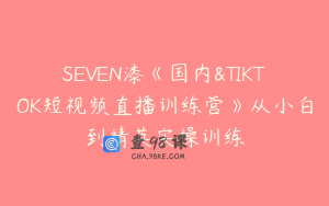 SEVEN漆《国内&TIKTOK短视频直播训练营》从小白到精英实操训练