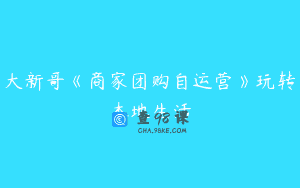 大新哥《商家团购自运营》玩转本地生活