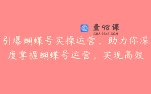 引爆蝴蝶号实操运营,助力你深度掌握蝴蝶号运营,实现高效