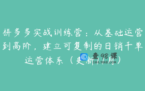 拼多多实战训练营：从基础运营到高阶，建立可复制的日销千单运营体系（更新11月）