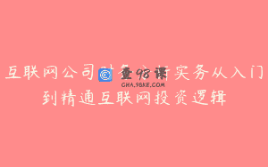 互联网公司财务分析实务从入门到精通互联网投资逻辑