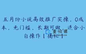 五月份小说高效推广实操，0成本，无门槛，长期可做，适合小白操作【揭秘】