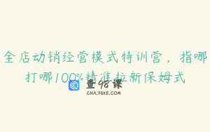 全店动销经营模式特训营，指哪打哪100%精准拉新保姆式